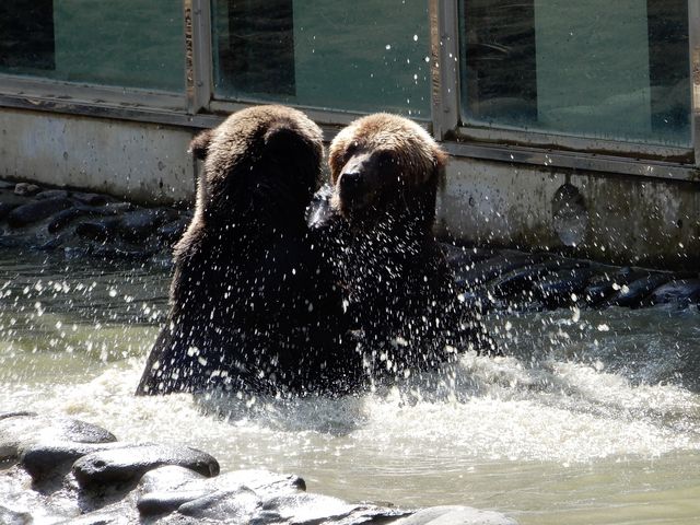 くまくま園】予約・アクセス・割引クーポン - じゃらんnet
