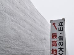 悤񂳂̗RAy[gyxRzւ̓eʐ^1