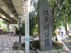 江戸川公園のさくらの口コミ一覧 じゃらんnet