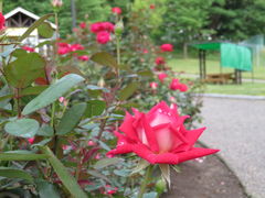 yosshỹ[YK[fՂׂւ̓eʐ^3