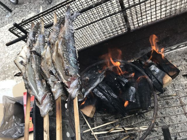 �}�X�^�[���Ă��グ�d����_��ˍ��R�ޒr�@����