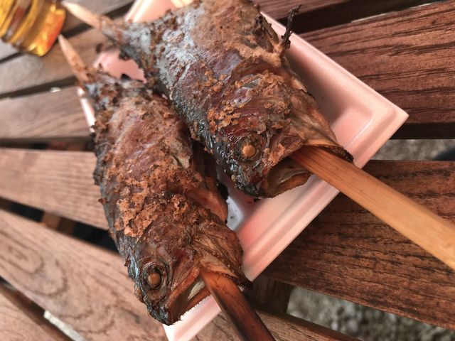 �ł�������`_��ˍ��R�ޒr�@����