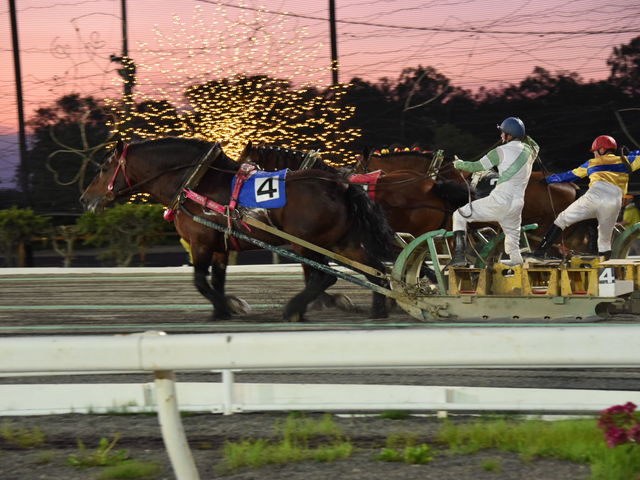 d\ꐶɈnBɊ܂B_΂񂦂q\