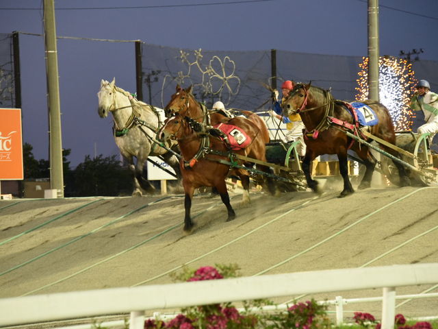 ̍o؂܂ŗ͂܂I܂ŎHĂ܂B_΂񂦂q\