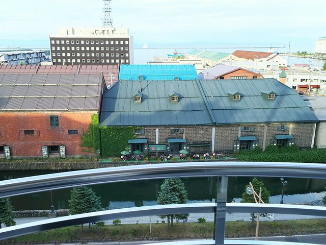 �z�e���\�j�A����̃o���R�j�[����_�^�͂ƐΑ��q�ɌQ