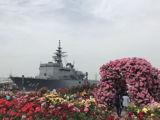 �K�N�Ƒ|�C��͂��炪_�T���|�[�g����