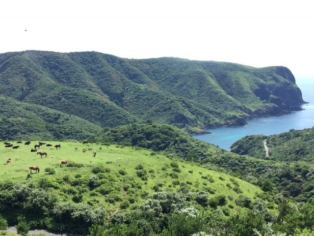 �B�򍑉�C��