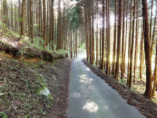 ����[�n��Ɩ�a�n��Ƃ����ԓ��F��1�䕪�̓����I_����[����