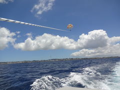 ninĩXJCEH[J[ւ̓eʐ^1