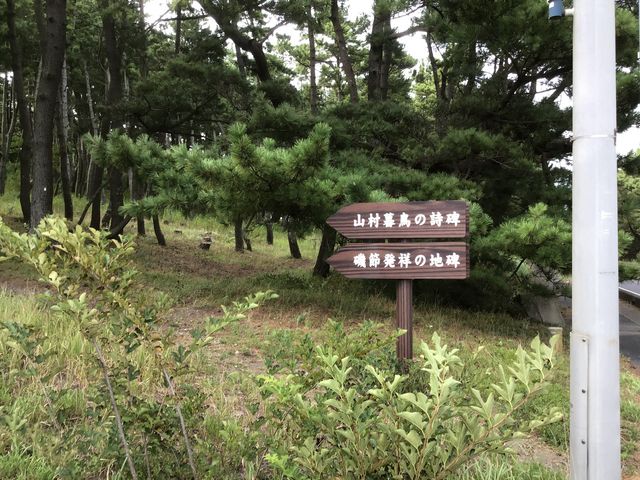 �ό��ē��������B_�R���钹�̎���