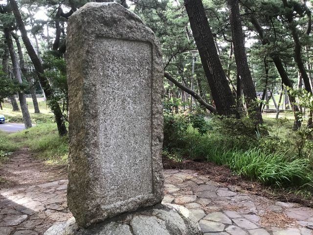 ���� �{�Δ�_�R���钹�̎���