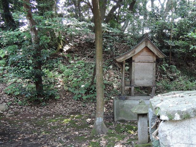 TKS����̕x����Ղ̓��e�ʐ^1