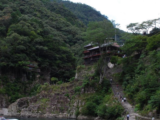 �ȑO�͗��قŌ��݂͋i���X�������ł��B�x�e�����猩���܂��B_�ҋ�