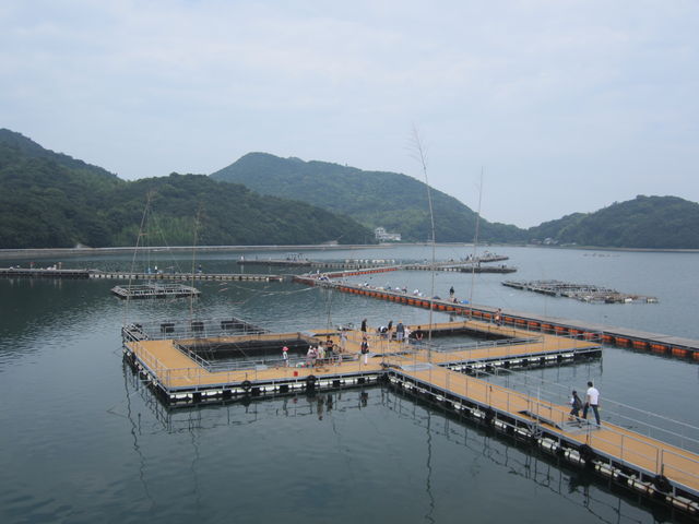 {iIȒޖx_˒rނtBbVtbN