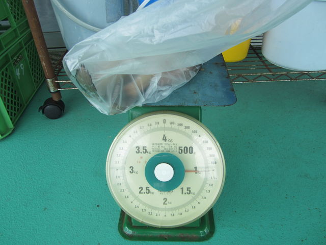 QCłPL𒴂₪ɒނ܂B_˒rނtBbVtbN