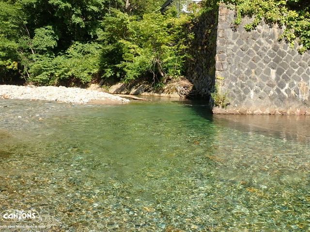 ����ȏꏊ�ŉj������A���̏ꏊ�̋߂��̑���������肵�܂����I_�L���j�I���Y�݂Ȃ���