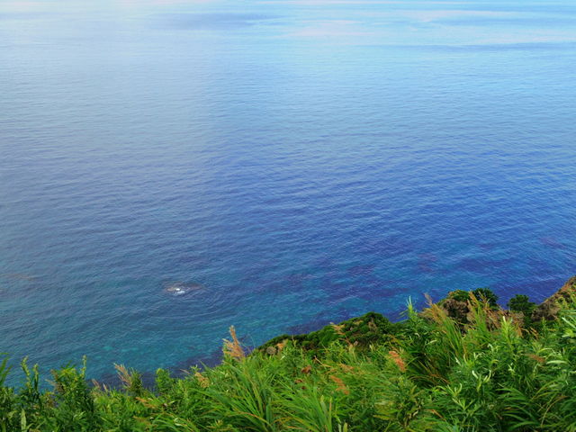 jyarapon̐璹YC݂̓eʐ^1