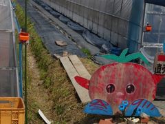 ĂFARM@KEIւ̓eʐ^1