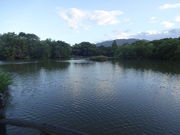 Ђ낳̃O[p[NR̓eʐ^5