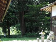 TKS����̐_��_�Ђ̓��e�ʐ^1