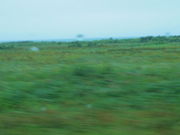 jyarapon̋Yԉ̓eʐ^1