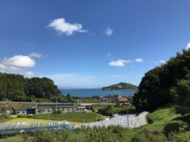 ����_�݂炢�K�[�f���t�@�[��