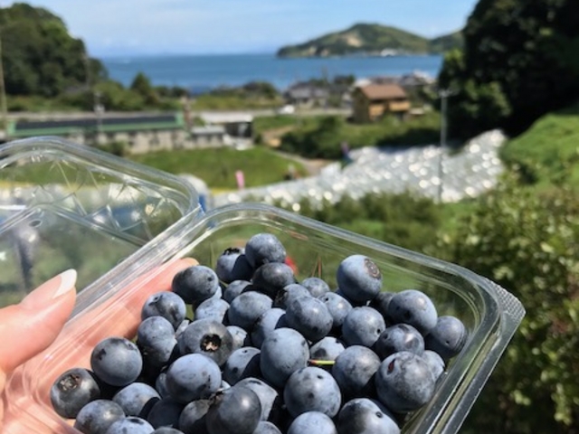 100�~�v���X�ł������A��̃p�b�N�̑傫�������T�C�Y�˒��T�C�Y�ύX�ł��܂�_�݂炢�K�[�f���t�@�[��