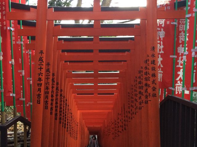 ����_���}�_��