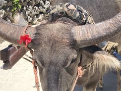 risa����̐����Ԋό��ւ̓��e�ʐ^1