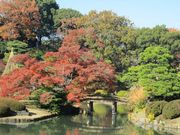 cinnamon̘Z`@cߋ̓eʐ^1