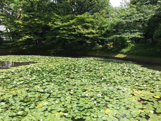 �@_����i���ΐ��y���j