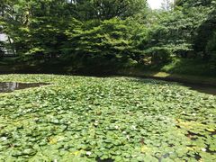 cinnamon̓iΐyjւ̓eʐ^1