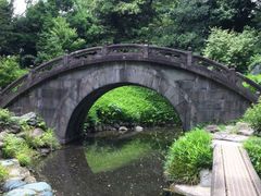 cinnamon̉~ (ΐy)ւ̓eʐ^1