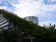 ܂܂̃beA ANXX̓eʐ^1