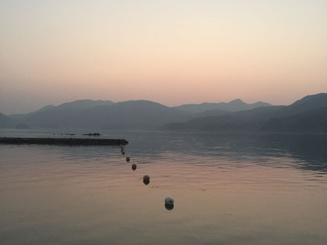 [ɂɂރC{[r[`łB_C{[r[`iCmj