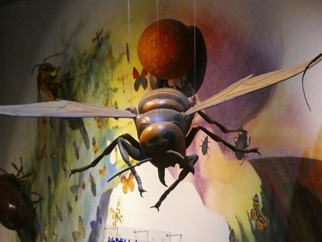 �ޗǌ��E�����s�E�����s������_�����s������