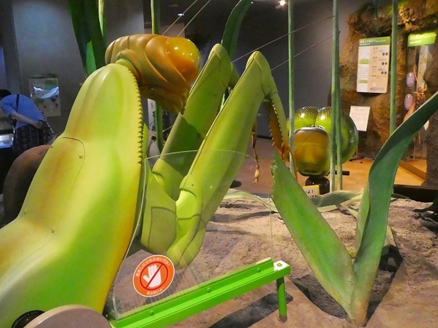 �ޗǌ��E�����s�E�����s������_�����s������