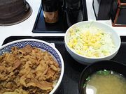 T[x^CK[̋g h|X̓eʐ^1