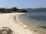 mingorõC{[r[`iCmj̓eʐ^4