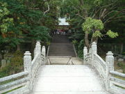 SHIN����̖��ϊٕ��w���Ղ̓��e�ʐ^1