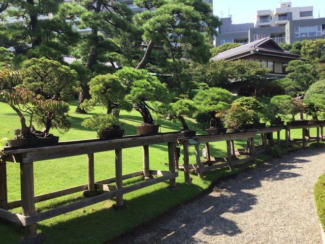 ���F��_���F��