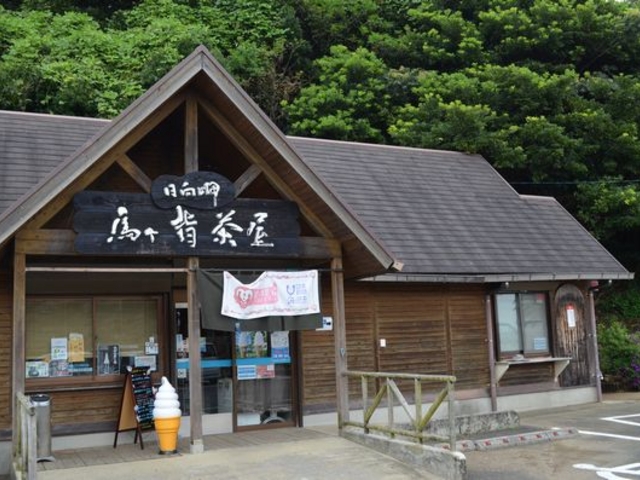 ��x��_�n���w�ό��ē���