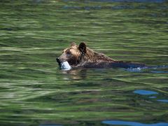 iRc226̒m炤Nւ̓eʐ^2