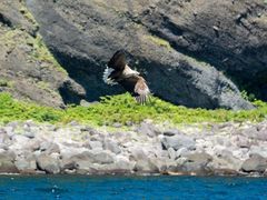 iRc226̒m炤Nւ̓eʐ^3