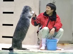 愛嬌ある可愛い動物達と楽しい思い出作りが出来ました 伊勢夫婦岩ふれあい水族館 伊勢シーパラダイス の口コミ じゃらんnet