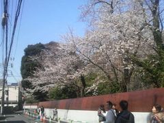 Ƃ񂳂̏ΐAւ̓eʐ^1