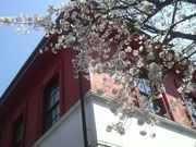 Ƃ񂳂̋wZ{ق̓eʐ^3