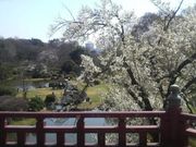 Ƃ񂳂̋wZ{ق̓eʐ^5