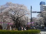 Ƃ񂳂̔d₳؂̓eʐ^4