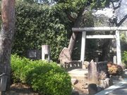 Ƃ񂳂́u炷̐Ԃv̓eʐ^1